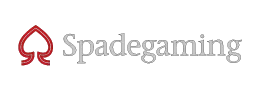 एसजी प्रुभाइडर logo